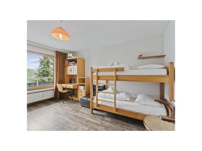 Holiday apartment Triangel D Paijmans - Features photo 13