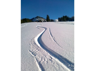 Holiday apartment Soyer - Environment photo 16