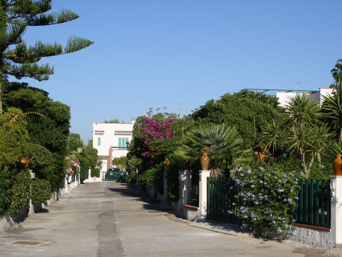 Holiday house Villa Vittoria - Outdoor photo 4