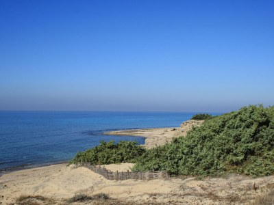 Holiday house Villa Vittoria - Environment photo 16