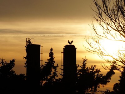 Holiday house Große Galerie - Environment photo 14