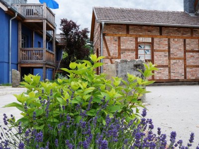 Apartment Echtholz - Outdoor photo 2