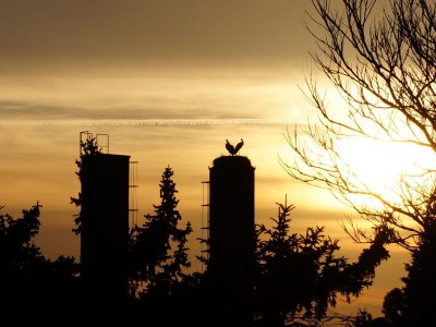 Apartment Echtholz - Environment photo 10