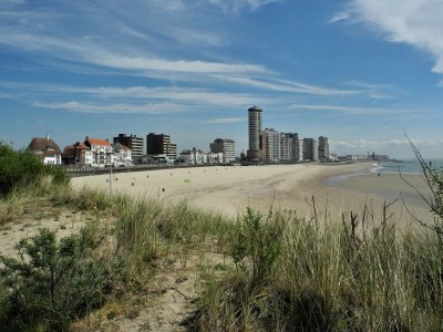 Bungalow Westduin 10 - Environment photo 20