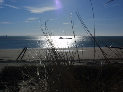 Holiday apartment Burgemeester van Woelderenlaan - Environment photo 24