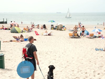 Holiday apartment Burgemeester van Woelderenlaan - Environment photo 26
