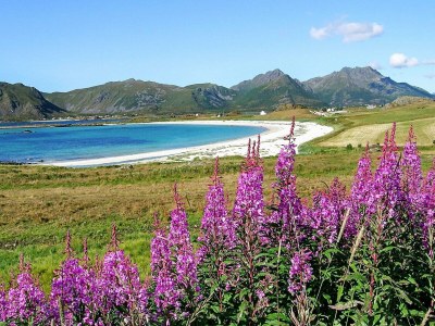 Holiday house 5 star holiday home in stokmarknes - Outdoor photo 17