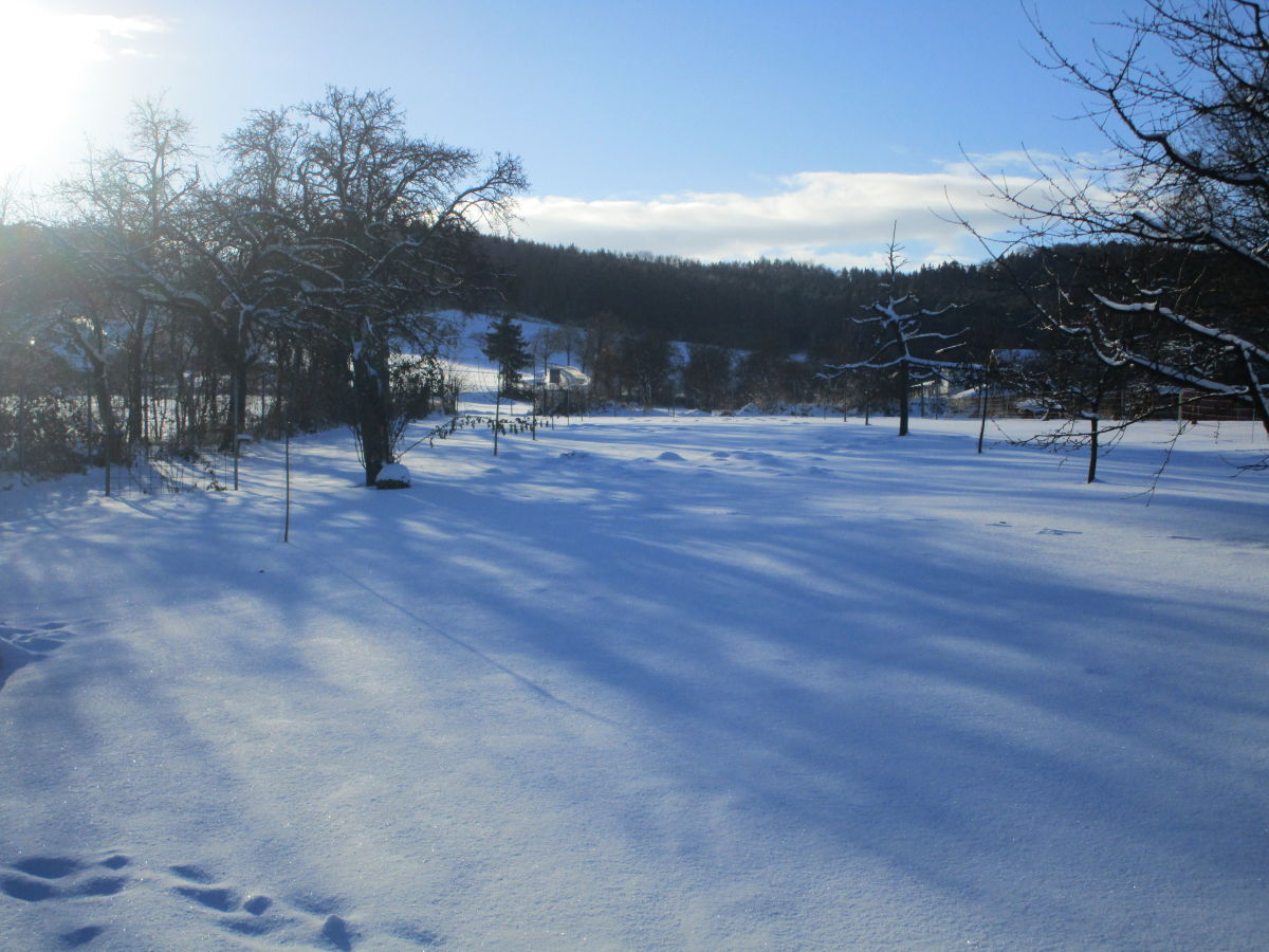 Holiday apartment 2 - Schüpferlingshof - Outdoor photo 4