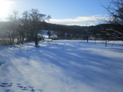 Holiday apartment 2 - Schüpferlingshof - Outdoor photo 4