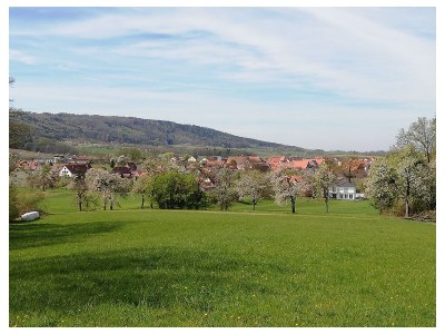 Holiday apartment 2 - Schüpferlingshof - Outdoor photo 6