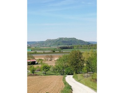 Holiday apartment 2 - Schüpferlingshof - Outdoor photo 9