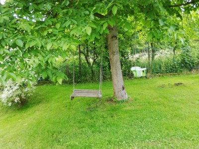 Holiday apartment 2 - Schüpferlingshof - Outdoor photo 13