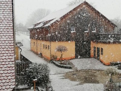 Holiday apartment 2 - Schüpferlingshof - Outdoor photo 16