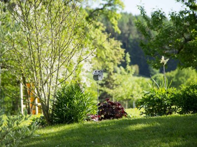 Holiday apartment 2 - Schüpferlingshof - Outdoor photo 18