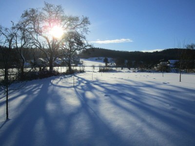 Holiday apartment 2 - Schüpferlingshof - Outdoor photo 22