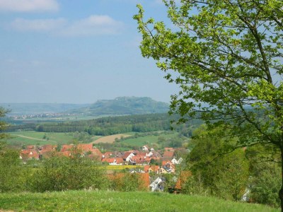 Holiday apartment 2 - Schüpferlingshof - Environment photo 42