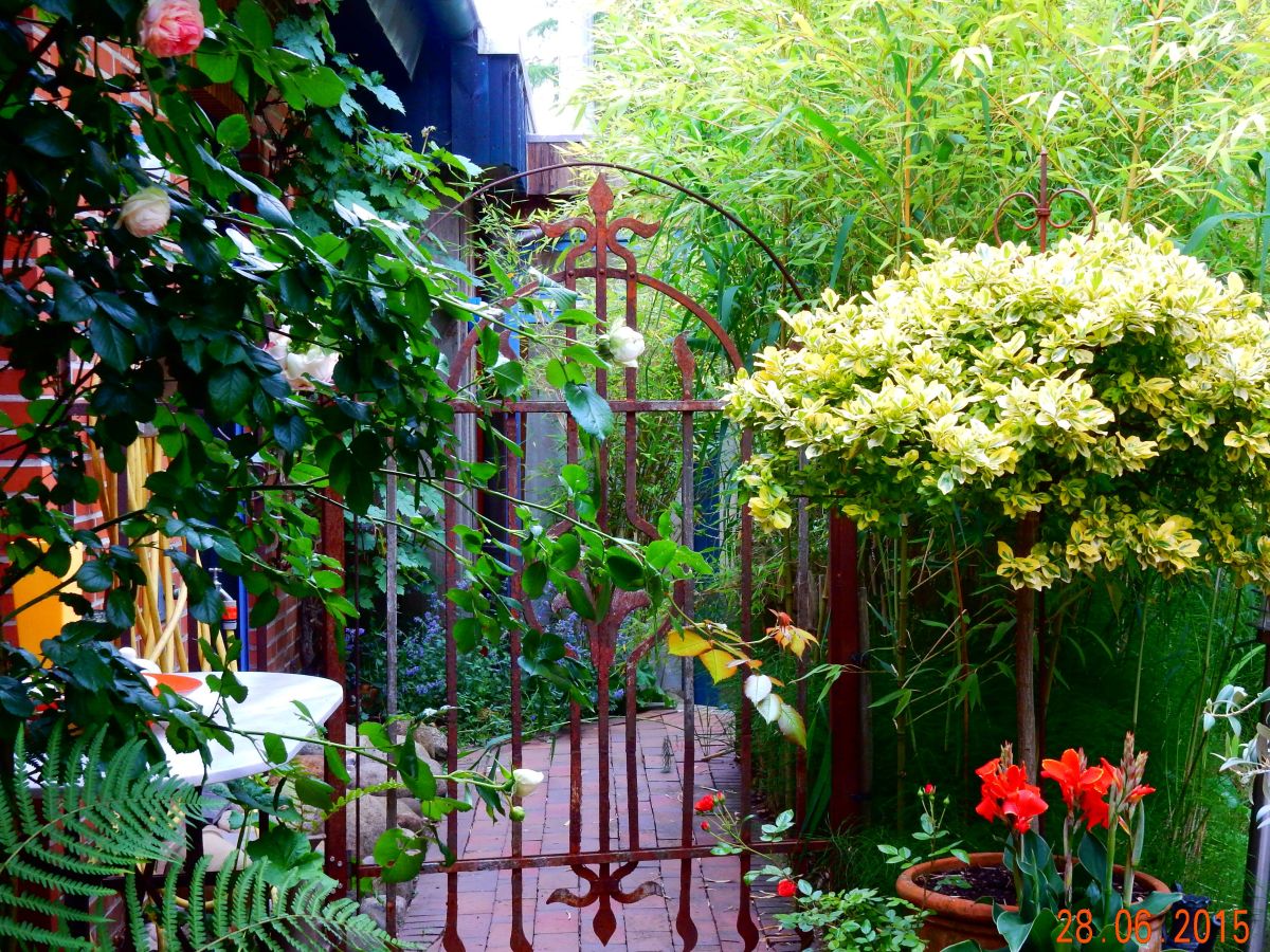 Holiday house Inka on the Großer Plöner See - Outdoor photo 3