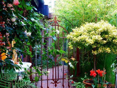 Holiday house Inka on the Großer Plöner See - Outdoor photo 3