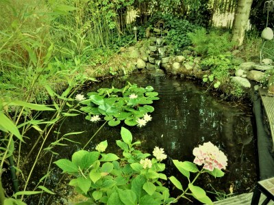 Holiday house Inka on the Großer Plöner See - Outdoor photo 8