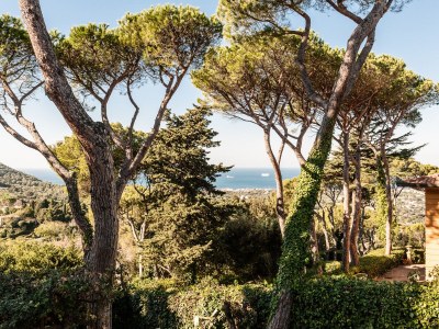 Holiday apartment Casina Montenero - Outdoor photo 9