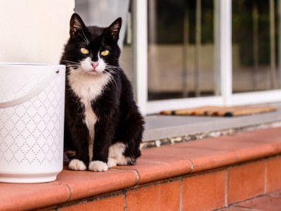 Holiday apartment Casina Montenero - Outdoor photo 15