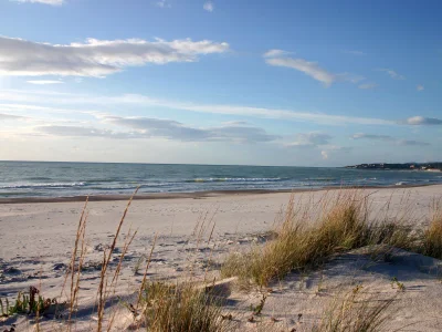 Holiday apartment Casina Montenero - Environment photo 28