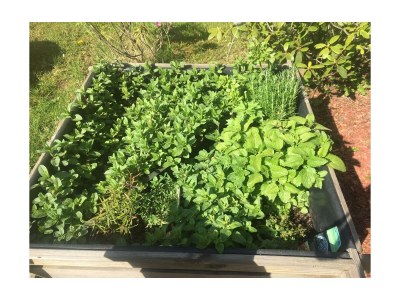 Holiday apartment Landrock - Outdoor photo 28