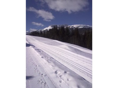 Holiday apartment Haus Widdersteinblick - Environment photo 23