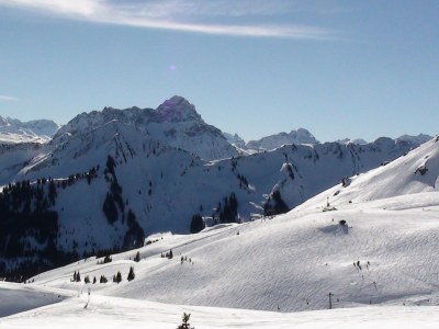 Holiday apartment Haus Widdersteinblick - Environment photo 29