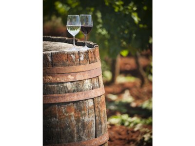 Holiday apartment Villa Lara Savudrija - Environment photo 36