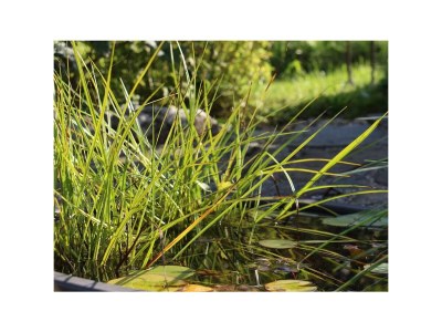 Apartment Apartment Silvretta/2 Schlafräume/2 Dusche, WC - Outdoor photo 8