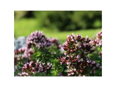 Apartment Apartment Silvretta/2 Schlafräume/2 Dusche, WC - Outdoor photo 9