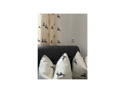 Apartment Apartment "Silvretta", Dusche, WC, 1 Schlafraum - Features photo 41