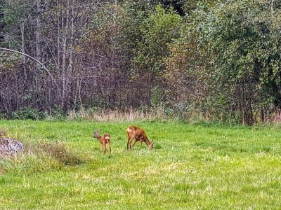 Holiday house 10 person holiday home in Søndeled - Outdoor photo 17