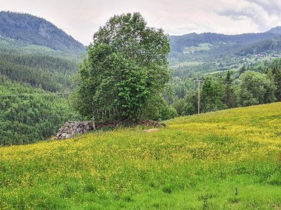 Holiday house 10 person holiday home in Søndeled - Outdoor photo 39