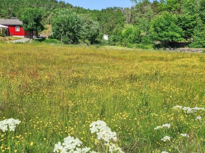 Holiday house 10 person holiday home in Søndeled - Outdoor photo 59