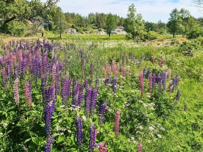 Holiday house 10 person holiday home in Søndeled - Outdoor photo 60
