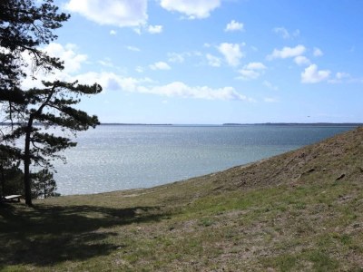 Holiday house 5 person holiday home in Frederiksværk-By Traum - Outdoor photo 13