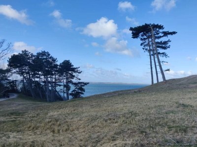 Holiday house 5 person holiday home in Frederiksværk-By Traum - Outdoor photo 14