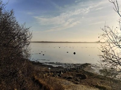 Holiday house 5 person holiday home in Frederiksværk-By Traum - Outdoor photo 17