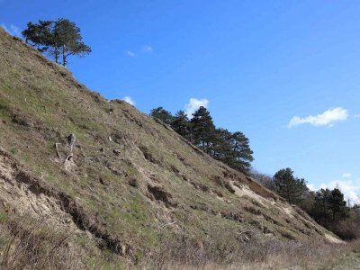 Holiday house 5 person holiday home in Frederiksværk-By Traum - Outdoor photo 28