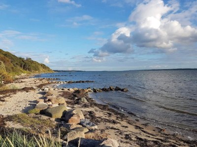 Holiday house 5 person holiday home in Frederiksværk-By Traum - Outdoor photo 31