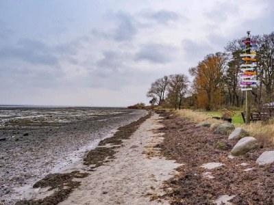 Holiday house 5 person holiday home in Frederiksværk-By Traum - Outdoor photo 33