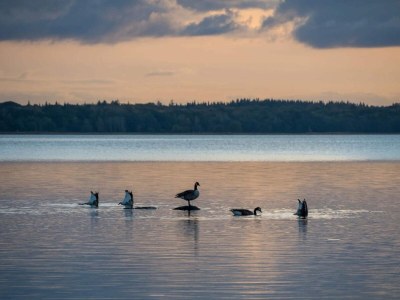 Holiday house 5 person holiday home in Frederiksværk-By Traum - Outdoor photo 46