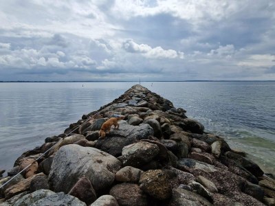 Holiday house 4 Sterne Ferienhaus in Øster Assels-By Traum - Outdoor photo 32
