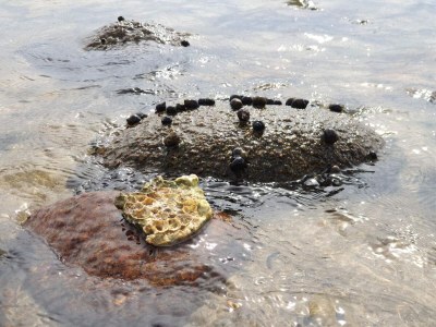Holiday house 4 Sterne Ferienhaus in Øster Assels-By Traum - Outdoor photo 36