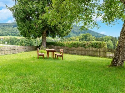 Holiday house Holiday Home Attersee near Hiking Trails - Outdoor photo 5
