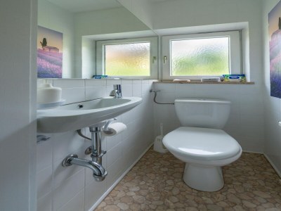 Holiday house Holiday Home Attersee near Hiking Trails - Features photo 16