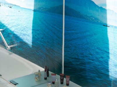 Holiday house Holiday Home Attersee near Hiking Trails - Features photo 19