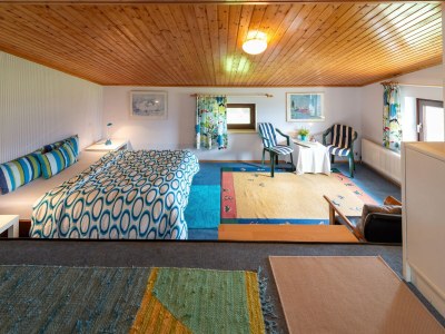 Holiday house Holiday Home Attersee near Hiking Trails - Features photo 21